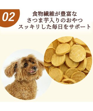 PET PARADISE さつま芋 ささみ チップ 100g  大袋 -