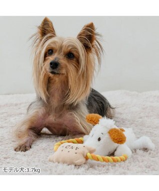 PET PARADISE スヌーピー アンディ ロープトイ アンディ