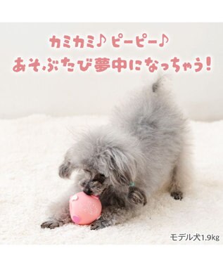 PET PARADISE スヌーピー ラテクスボール 《ベル》 ピンク