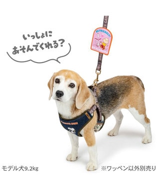 PET PARADISE スヌーピー メッセージ ワッペン  《フレンドリー》 フレンドリー