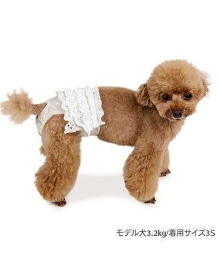 PET PARADISE ペットパラダイス レースフリル サニタリーパンツ ホワイト