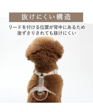 PET PARADISE ペットパラダイス くまちゃん アクティブハーネス Ｓ 小型犬 ベージュ