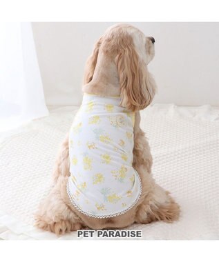  ペットパラダイス はじめてタンクトップ 《ミモザ柄》 中型犬 大型犬