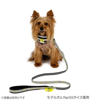 PET PARADISE スヌーピー ＪOE COOL 反射リード ＳＳ～Ｓ グレー