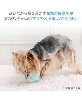 PET PARADISE ペットパラダイス 貝殻 クール トイ ブルー