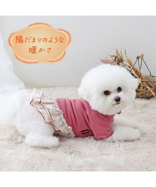 PET PARADISE ペットパラダイス ペティヒート プレミアム  ワンピース 《花ボタン柄》 小型犬 花ボタン柄
