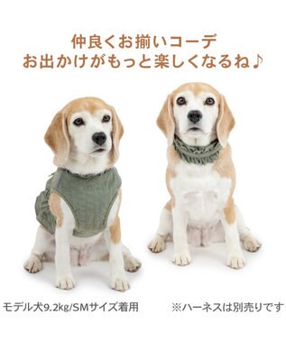 PET PARADISE ペットパラダイス ペタルオリーブ首輪 ＳＭ カーキ