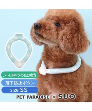  ペットパラダイス 28℃クールリング SUO 《くま柄》 〔ＳＳ〕 小型犬