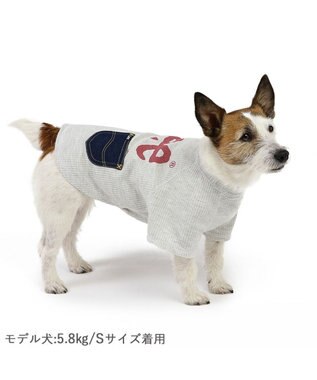 PET PARADISE Lee ワッフル Tシャツ 小型犬 グレー
