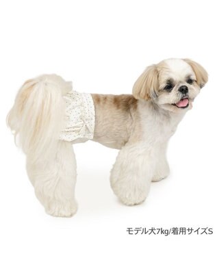 PET PARADISE ペットパラダイス バルーン サニタリーパンツ 《ドット柄》 小型犬 ホワイト