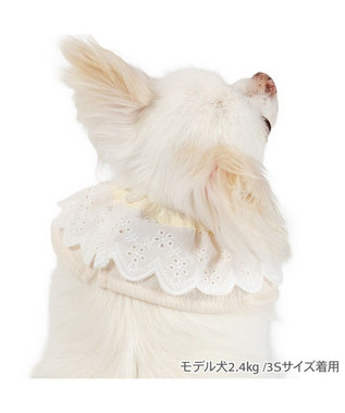 PET PARADISE ペットパラダイス フリル シュシュ スタイ 小型犬 ベージュ
