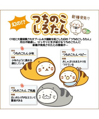 Mother garden つちのこ しろたん マスコット 《少年 / ベビー / ご先祖》 単品 少年