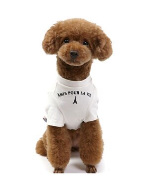 PET PARADISE リサとガスパール シンプル刺繍 Ｔシャツ 《であい柄》 小型犬 であい柄