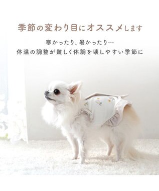 PET PARADISE リサとガスパール サーモキープ Tシャツ 《シャボン玉》 小型犬 ホワイト