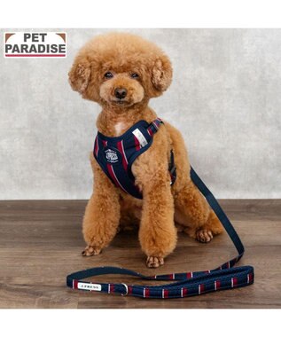  J.PRESS レジメンタル ハーネス＆リード  小型犬 ＳＳ