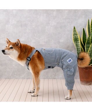PET PARADISE Lee ヒッコリー オーバーオール 中型犬 大型犬 ネイビー×ホワイト
