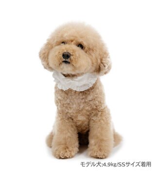 PET PARADISE ペットパラダイス コットンレース首輪 S ベージュ