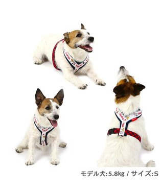 PET PARADISE ディズニー アクティブハーネス 【ＳＳ】 小型犬 -