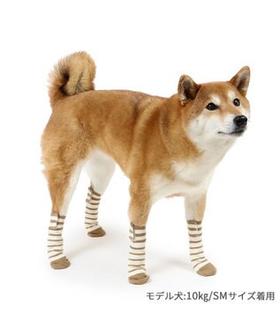 PET PARADISE ペットパラダイス makokoro スリット 靴下  《ボーダー》 ＳＭ 中型犬 ボーダー