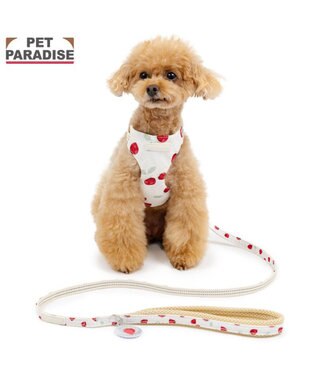 PET PARADISE ペットパラダイス スリム ハーネス＆リード 《苺総柄》 Ｓ 小型犬