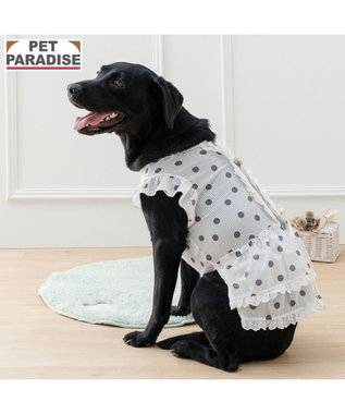 PET PARADISE ペットパラダイス 背中開き フリル ワンピース 《ドット柄》 中型犬 大型犬