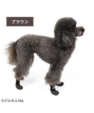 PET PARADISE 犬 靴 靴下 フィットシューズ 【ＳＳ】 《グリーン / ブラウン》 ブラウン
