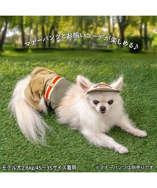 PET PARADISE ペットパラダイス コーデュロイ ロゴキャップ 4S～3S/SS～S ベージュ×カーキ