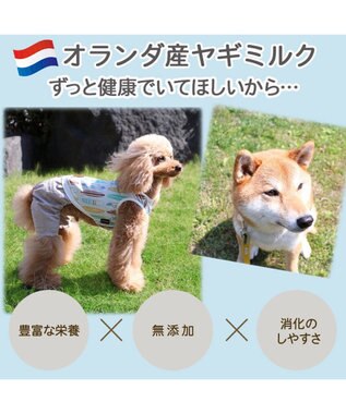 PET PARADISE ペットパラダイス オランダ産 ヤギミルク  ペット用 0
