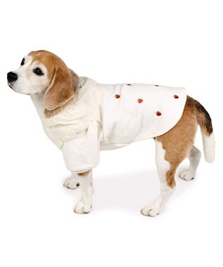 PET PARADISE ペットパラダイス ペティヒートDAN Tシャツ 《いちご柄》 中型犬 大型犬 オフホワイト