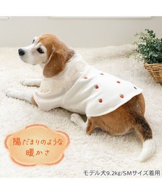 PET PARADISE ペットパラダイス ペティヒートDAN Tシャツ 《いちご柄》 中型犬 大型犬 オフホワイト