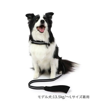 PET PARADISE 両面反射リード ブラック120㎝【Ｍ～Ｌ】 黒