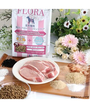 PET PARADISE ペットパラダイス 国産 ドッグフード ビオキッチン 1kg ＆ フローラ 1kg お試しセット