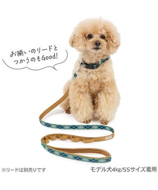PET PARADISE ペットパラダイス チェック柄 首輪 ３Ｓ 小型犬 グリーン