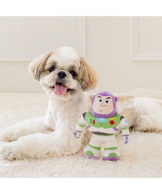 PET PARADISE ディズニー トイ・ストーリー バズ 箱トイセット マルチカラー