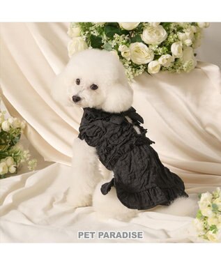 PET PARADISE cherircouture フリルリボン ワンピース 《ブラック》 小型犬