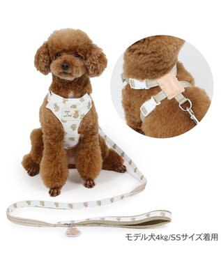 PET PARADISE ペットパラダイス くまちゃん スリム ハーネス＆リード ４S /３S 小型犬 くまちゃん柄