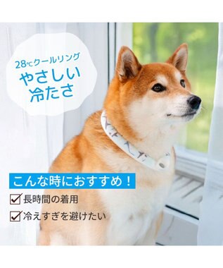 PET PARADISE ペットパラダイス ２８℃ クールリング Ｌ 《サメ柄》 ブルー