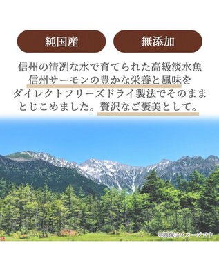 PET PARADISE プレミアムフード フリーズドライ 信州サーモン -