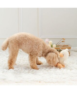 PET PARADISE ペットパラダイス 白あひるさん トイ ホワイト