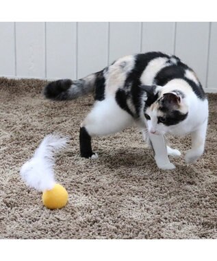 PET PARADISE ペットパラダイス 猫 羊毛ボール 羽付き 【単品】 マスタード