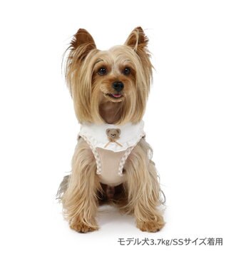 PET PARADISE ペットパラダイス くまちゃん ベストハーネス ３Ｓ 小型犬 ベージュ
