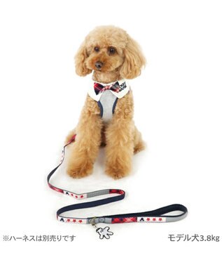 PET PARADISE ディズニー リード ミッキー 《パッチワーク柄》 4S-3S パッチワーク柄