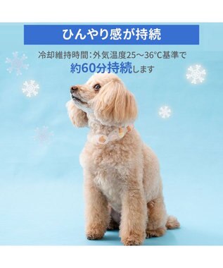 PET PARADISE ペットパラダイス １８℃ クールリング ３Ｓ 《アイス柄》 ピンク