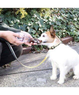 PET PARADISE 犬用品 ペットグッズ お散歩  お水携帯ボトル（茶）220ｍＬ -