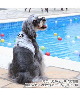 PET PARADISE ディズニー 101匹わんちゃん 保冷剤ポケット付き ハーネス ３Ｓ 小型犬 保冷剤付