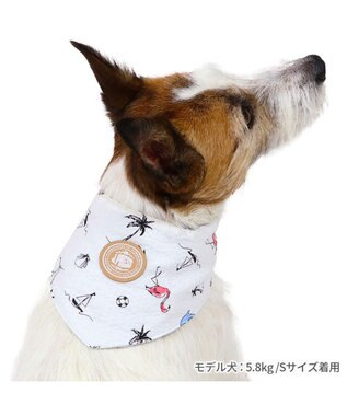 PET PARADISE J.PRESS リップル クールバンダナ 小型犬 白～オフホワイト