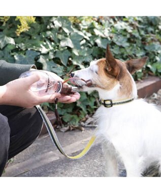 PET PARADISE 犬用品 ペットグッズ お散歩  お水携帯ボトル（茶）220ｍＬ -