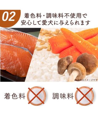 PET PARADISE 愛犬にやさしい スープごはん 鮭 0