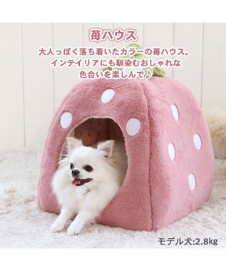 PET PARADISE ペットパラダイス くすみ苺 ハウス M (38×38×40cm) 超小型犬 ピンク