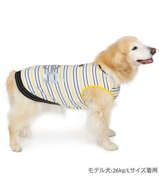 PET PARADISE Lee エコメイド 彩ボーダー タンクトップ 中型犬 大型犬 ホワイト×ブラック